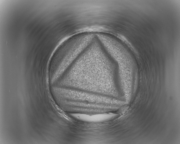 X0000060281232200511181314
