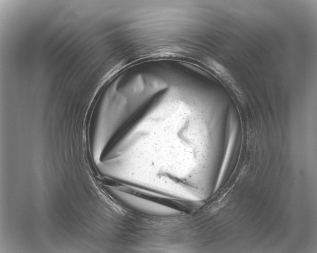 X0000060281234200511181314