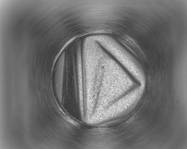 X0000060281236200511181314