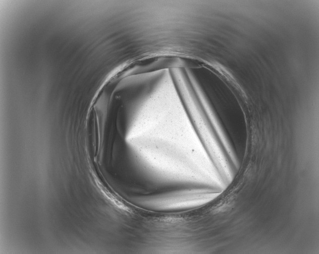 X0000060281238200511181314