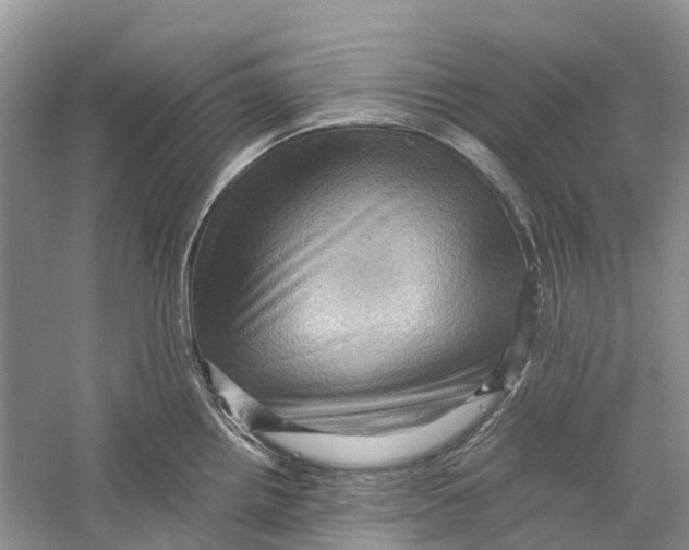 X0000060281242200511181314