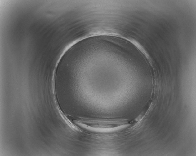 X0000060281246200511181314