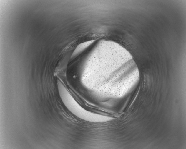 X0000060281250200511181313