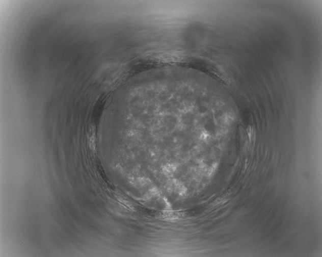 X0000060281251200511181313