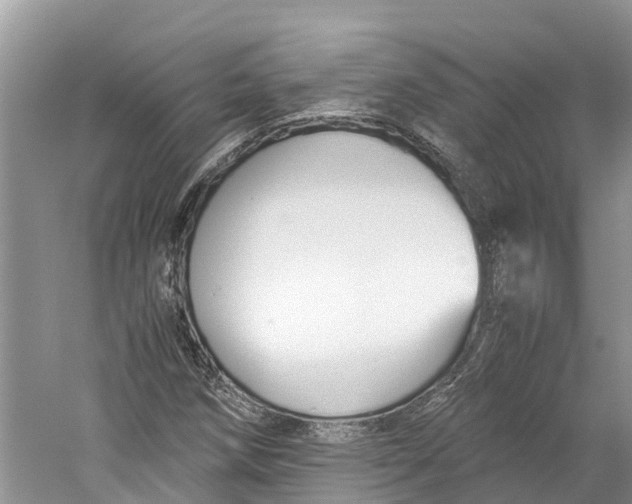 X0000060281258200511181313