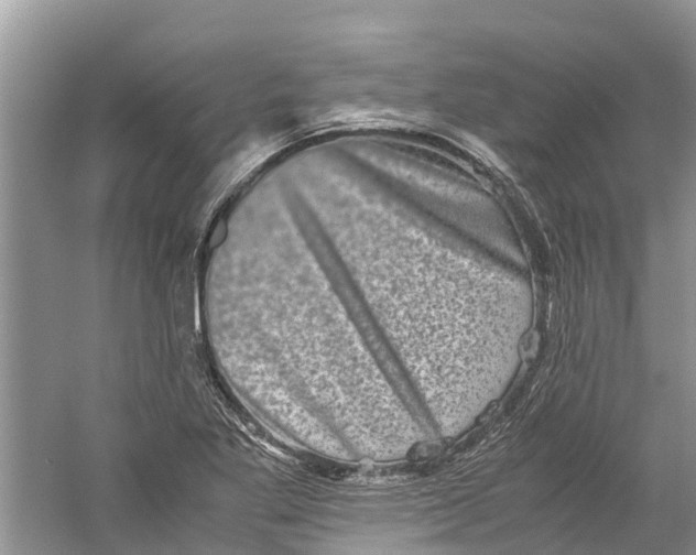 X0000060281269200511181313