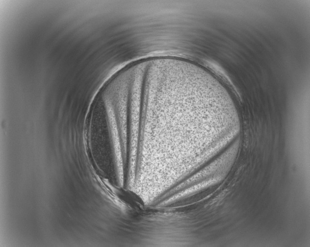 X0000060281284200511181312