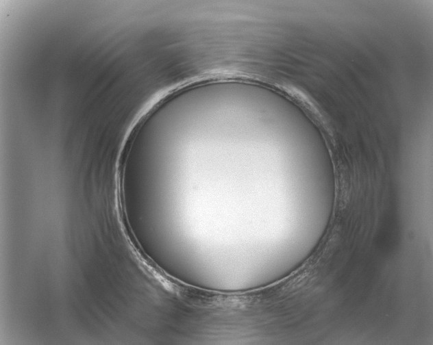 X0000060281286200511181312