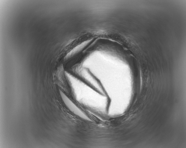 X0000060281301200511181311