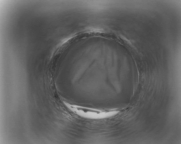 X0000060281303200511181312
