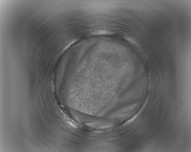 X0000060281305200511181312