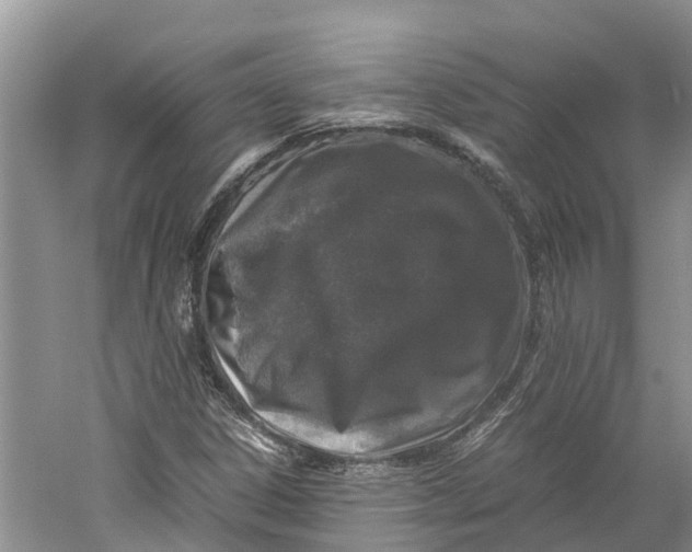X0000060281306200511181312