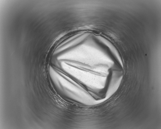 X0000060281308200511181312