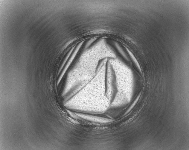 X0000060281313200511181312