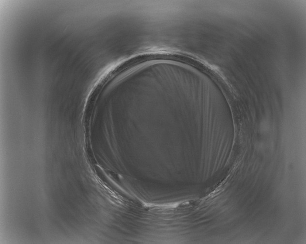 X0000060281319200511181312