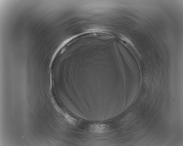 X0000060281323200511181312