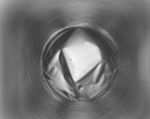 X0000060281332200511181312