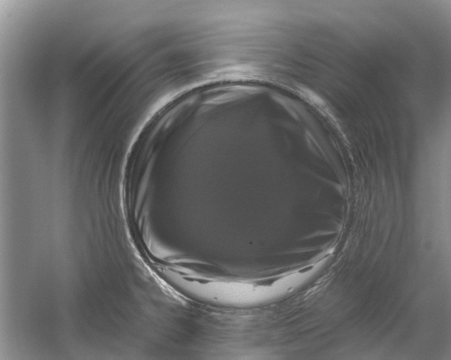 X0000060281334200511181312