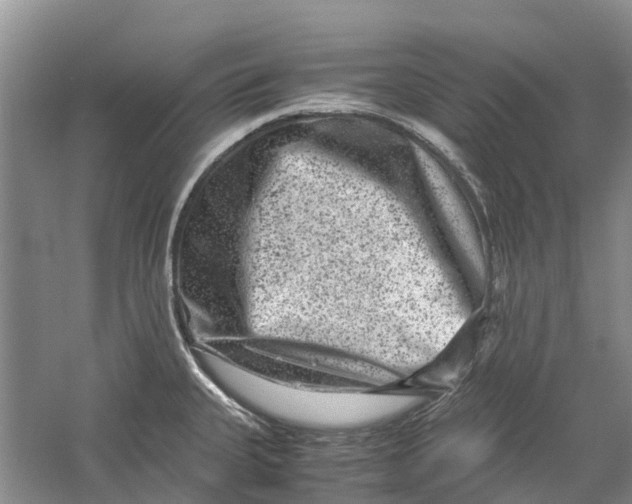 X0000060281335200511181312