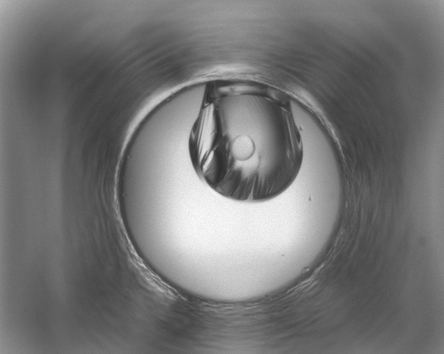 X0000060281336200511181312