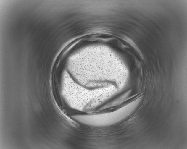 X0000060281339200511181312
