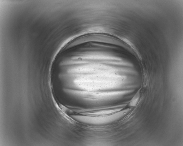 X0000060281342200511181312