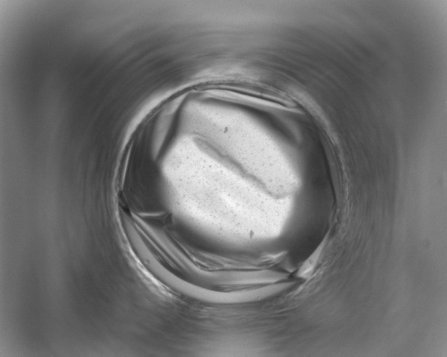 X0000060281344200511181312