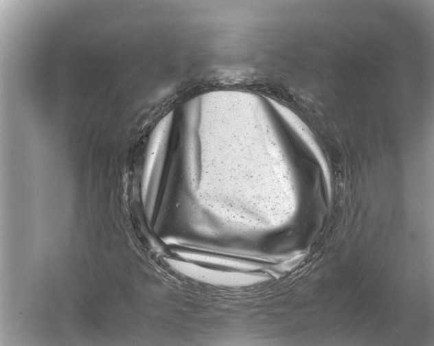X0000060281349200511181311