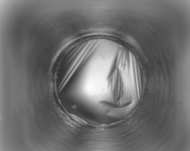 X0000060281360200511181311