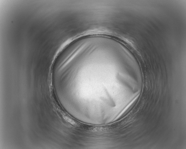 X0000060281366200511181311