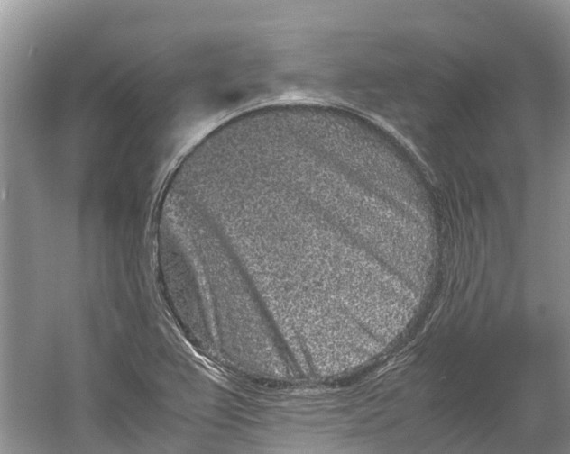 X0000060281367200511181311