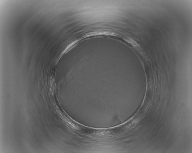 X0000060281369200511181311