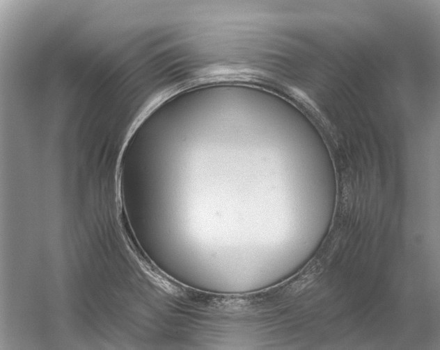 X0000060281370200511181311