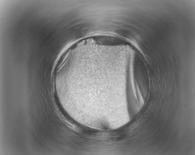 X0000060281371200511181311