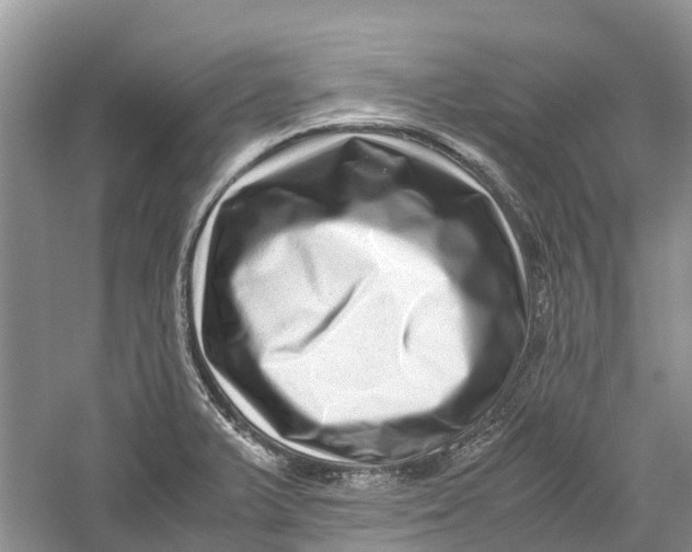 X0000060281375200511181311