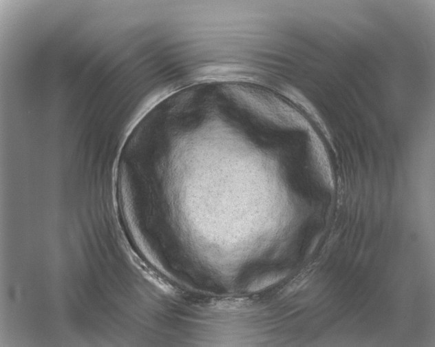 X0000060281386200511181311