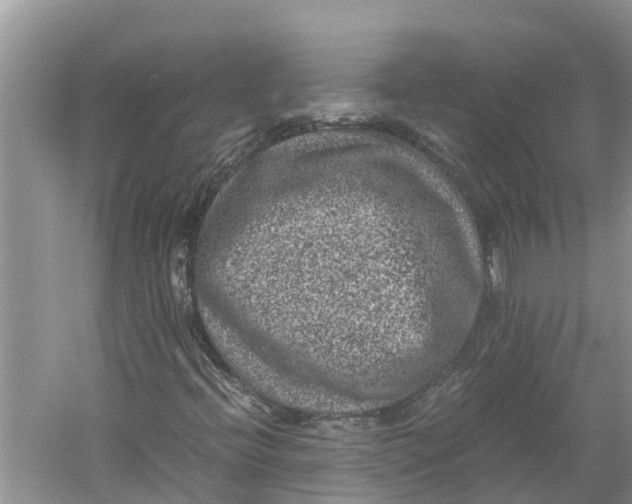 X0000060281396200511181310