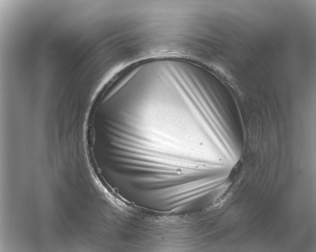 X0000060281422200511181310