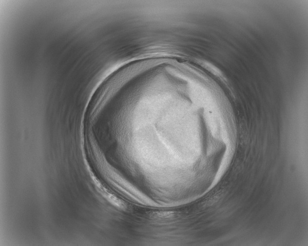 X0000060281431200511181310