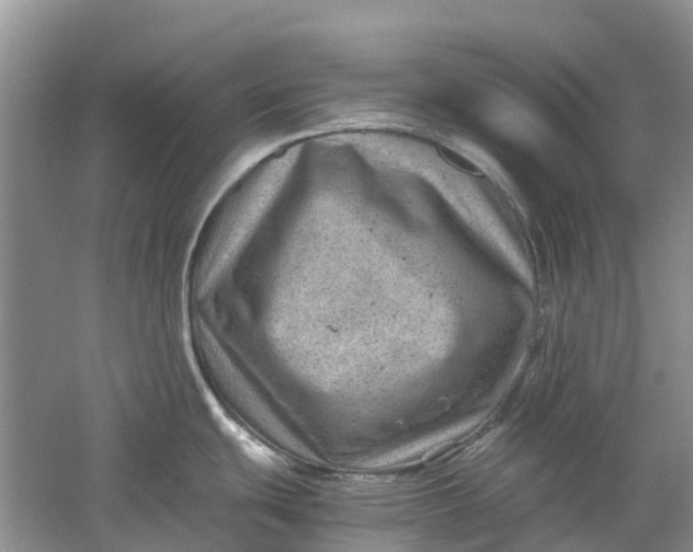 X0000060281439200511181311