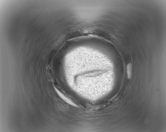 X0000060281443200511181310