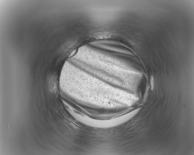 X0000060281444200511181310
