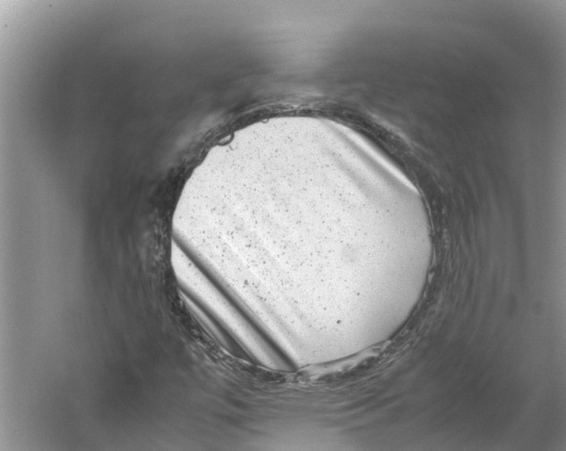 X0000060281447200511181310