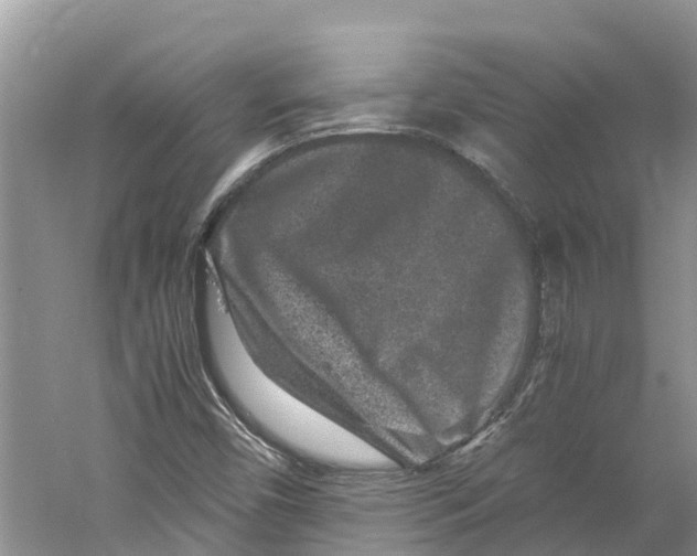 X0000060281450200511181310