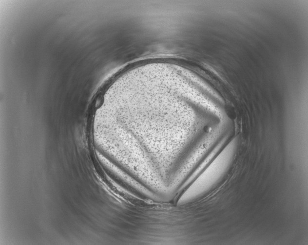X0000060281452200511181310