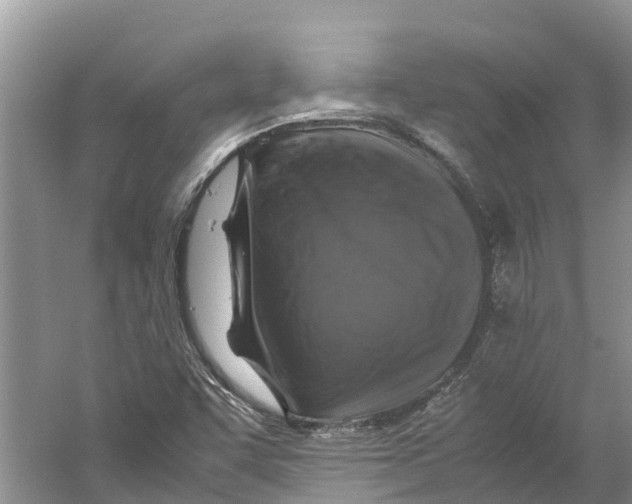 X0000060281455200511181310