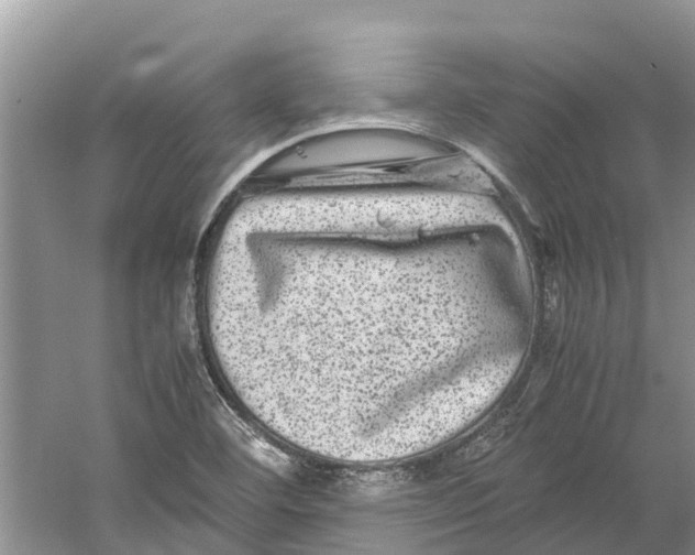 X0000060281460200511181309