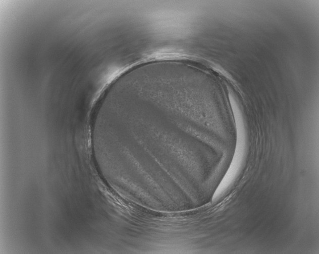 X0000060281461200511181309