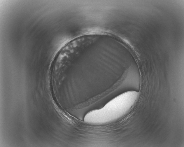 X0000060281463200511181309