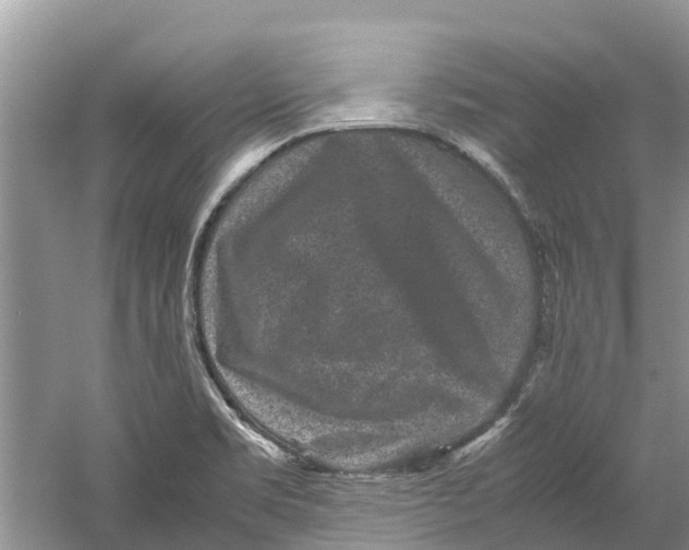 X0000060281469200511181309